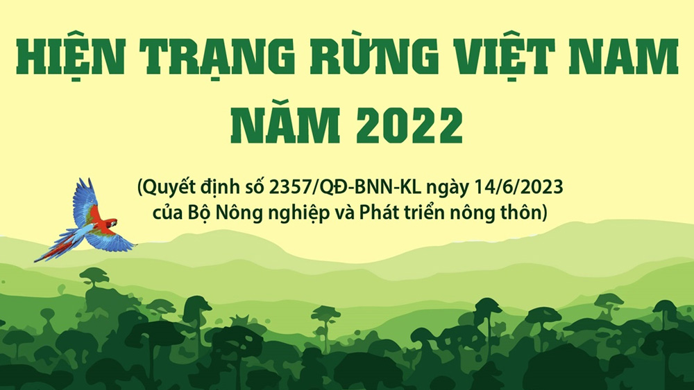 Hiện trạng rừng Việt Nam năm 2022
