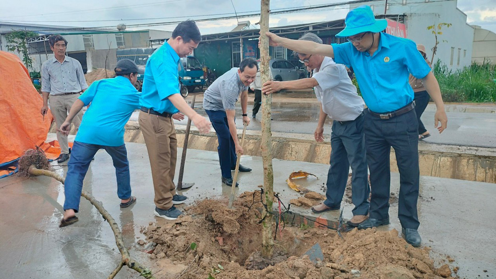 Đơn Dương: Hưởng ứng chương trình trồng 4,8 triệu cây xanh