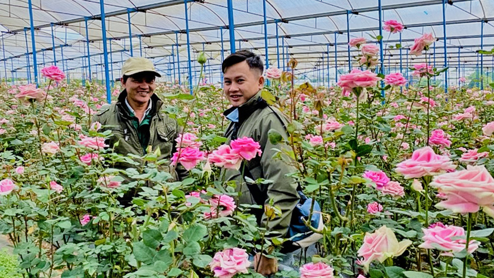 Để nâng cao chất lượng tăng trưởng nông nghiệp