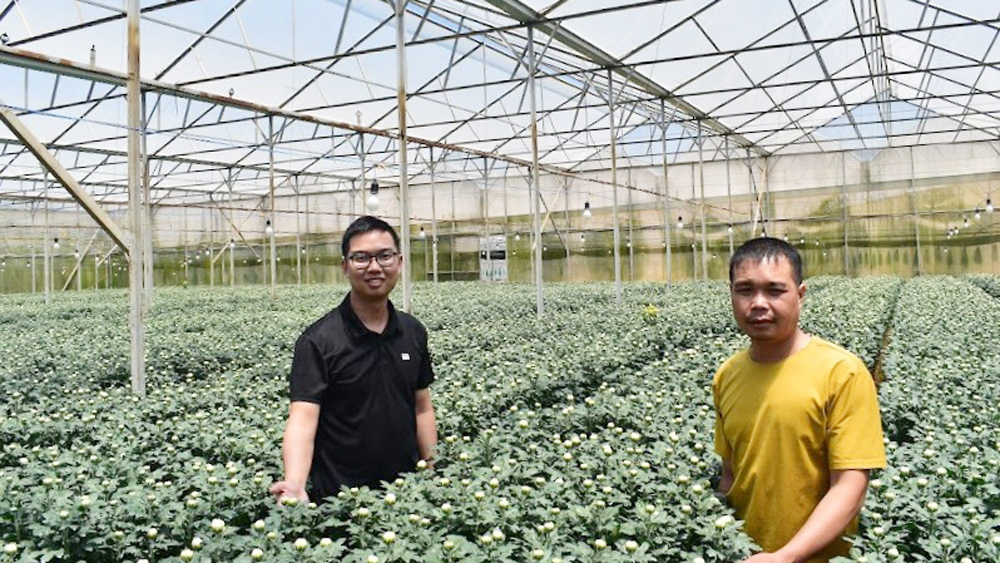 Cơ cấu cây trồng, vật nuôi chủ lực - những bước chuyển đổi