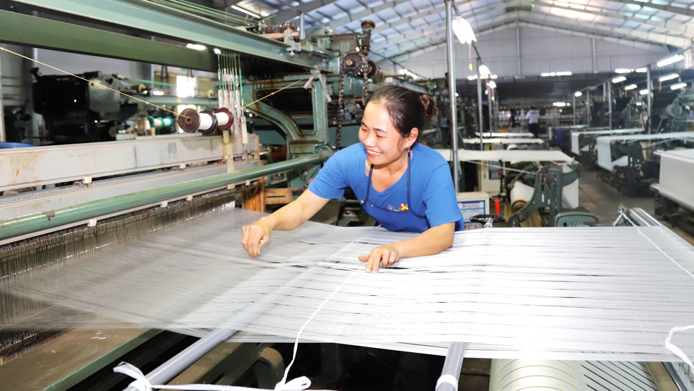 Lấy lại nhịp phát triển ngành dâu tằm