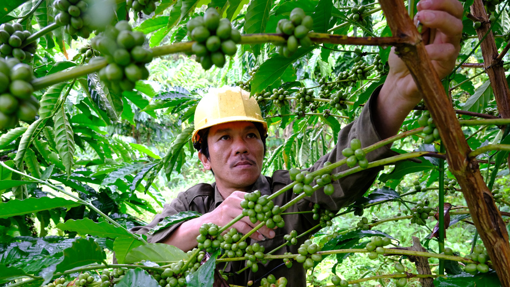 “Trái ngọt” sau nửa nhiệm kỳ