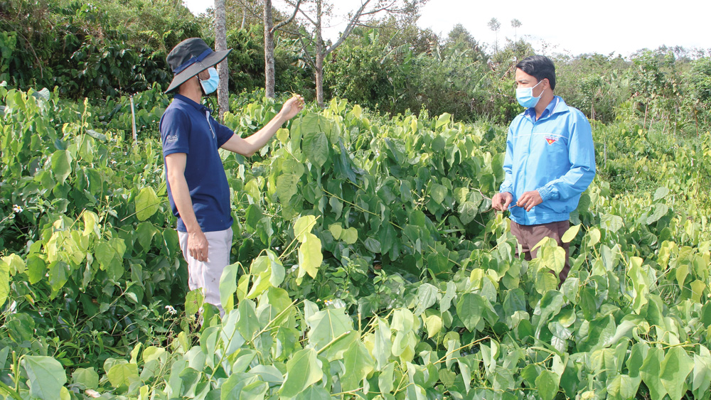 ''Dân vận khéo'' để nông dân sản xuất, kinh doanh giỏi