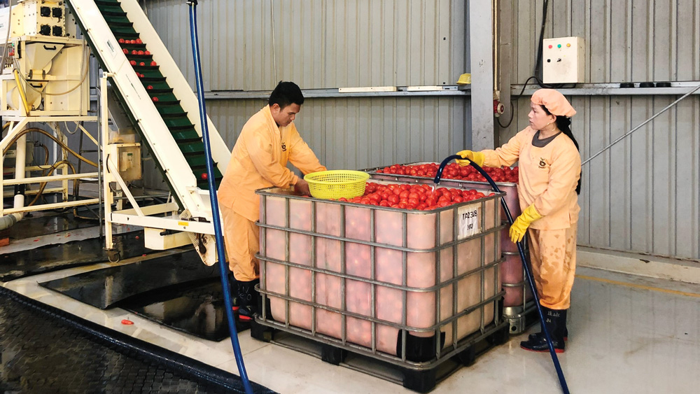 Lâm Hà: Chăm lo đến người lao động là góp phần xây dựng cơ quan - doanh nghiệp