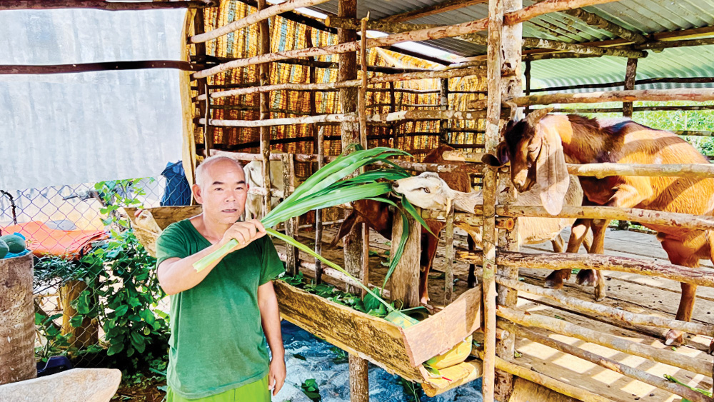 Bảo Lâm: Triển khai hiệu quả các chương trình, dự án vùng đồng bào DTTS