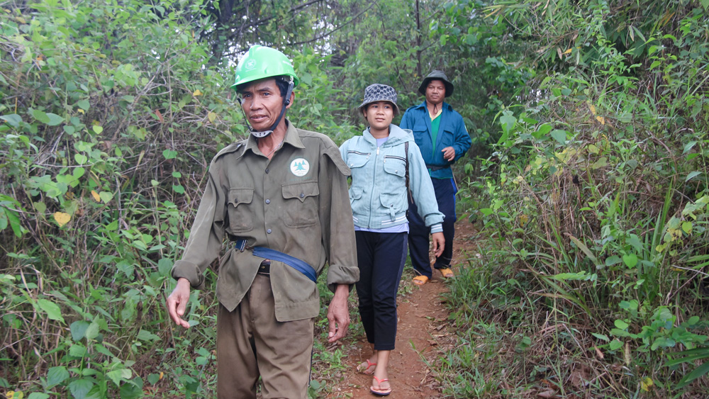 Để những cánh rừng thêm xanh