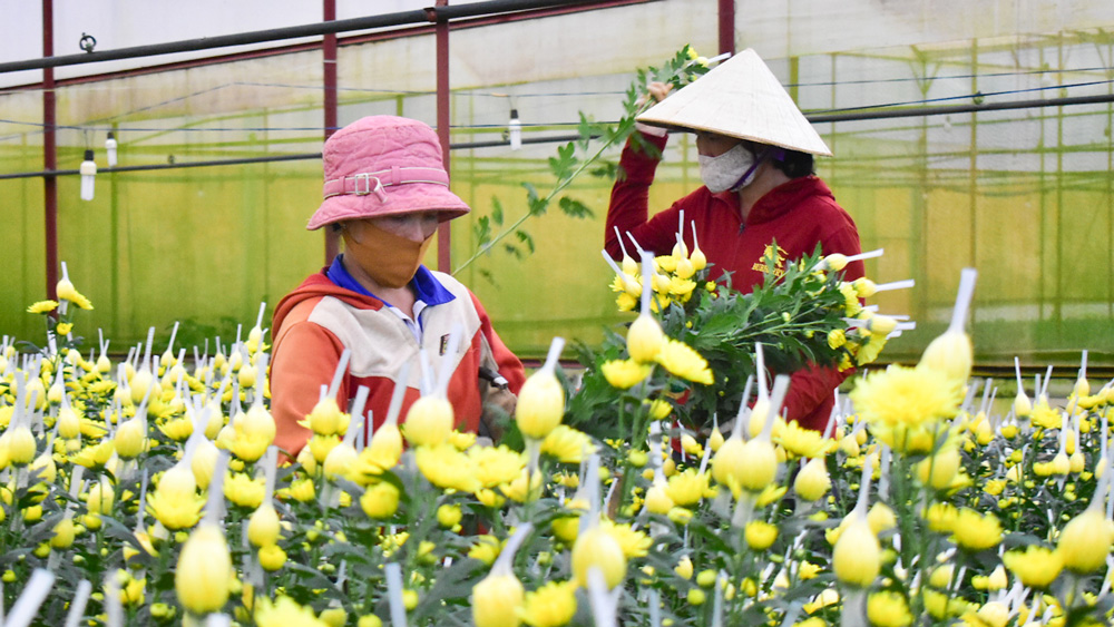 Tuyên truyền đồng bào DTTS ứng dụng công nghệ cao  vào sản xuất nông nghiệp