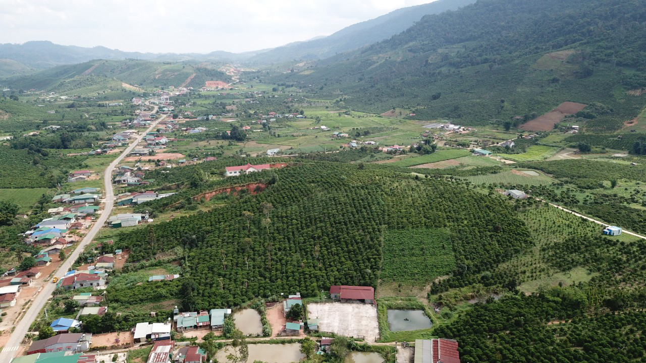 Tìm giải pháp gỡ khó cho người dân xâm canh