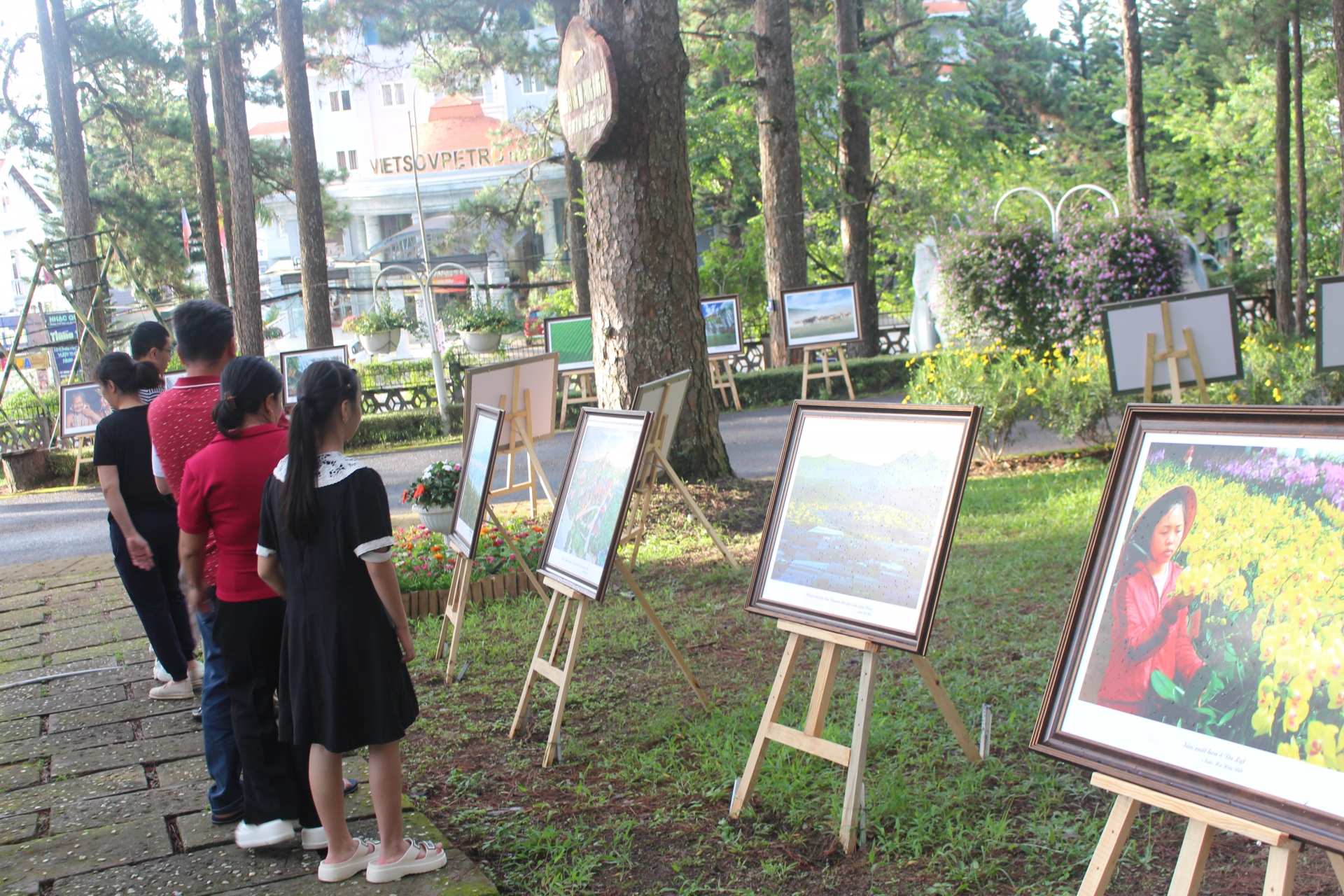 Triển lãm ảnh “Cao nguyên xanh”