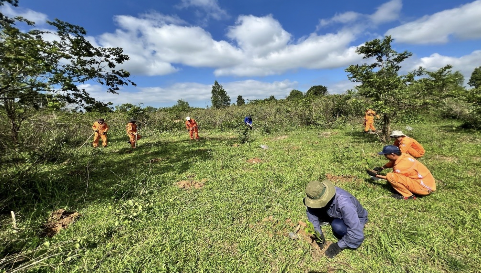 Công ty Thuỷ điện Đại Ninh hưởng ứng “Tết trồng cây”