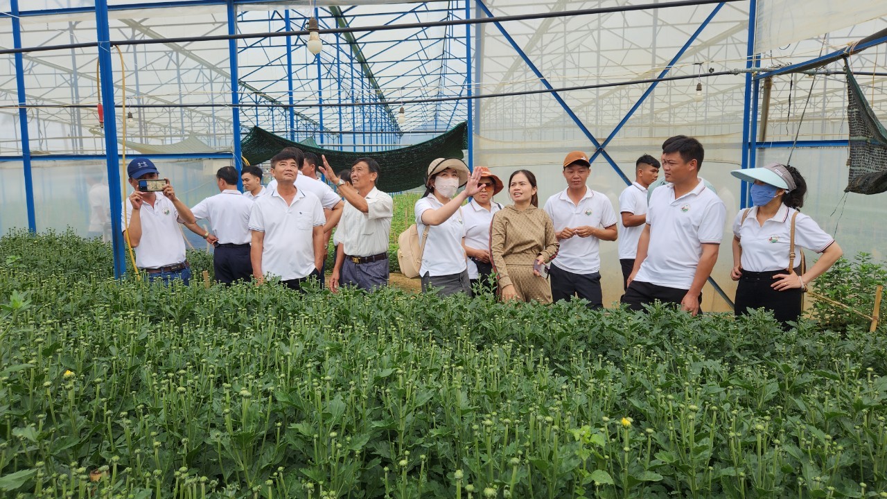 Đức Trọng: Học tập, nhân rộng mô hình trồng hoa tại xã vùng sâu