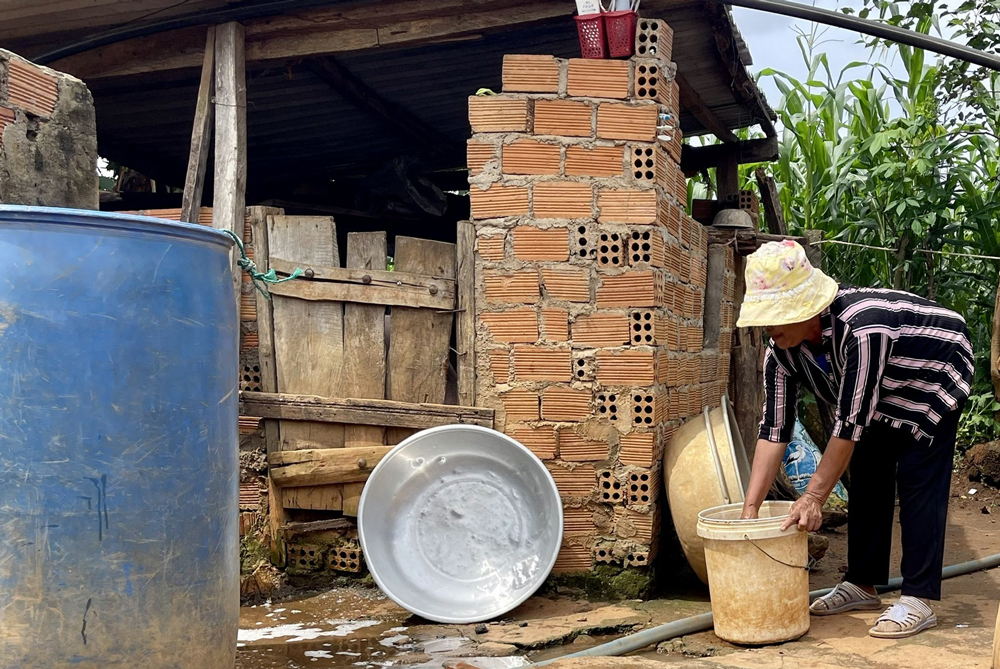 Đảm bảo 100% các ổ dịch sốt xuất huyết được phát hiện và xử trí kịp thời