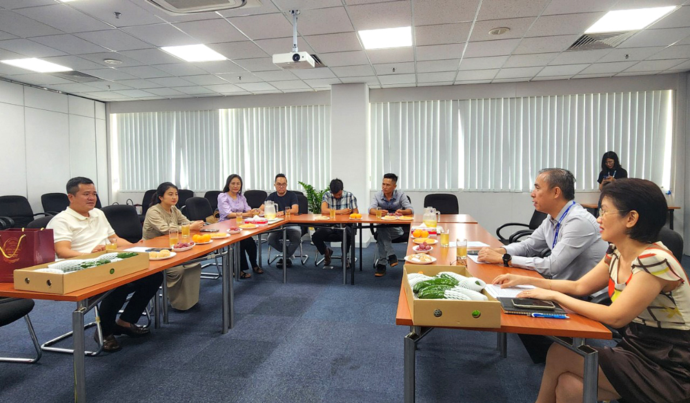 Xúc tiến thương mại, mở rộng thị trường tiêu thụ trái bơ Lâm Đồng