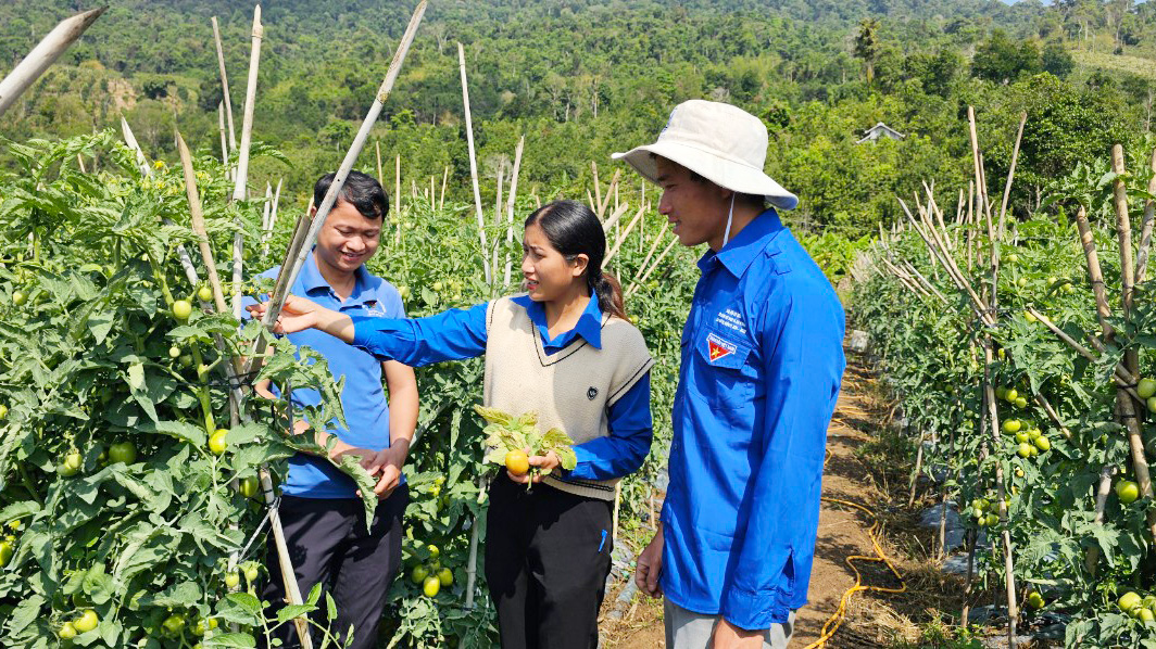 Thanh niên người Dao vượt khó làm kinh tế giỏi