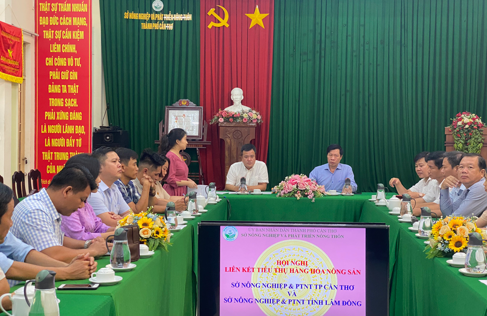 Khảo sát, tìm hiểu cơ hội mở rộng thị trường tiêu thụ nông sản Lâm Đồng tại TP Cần Thơ