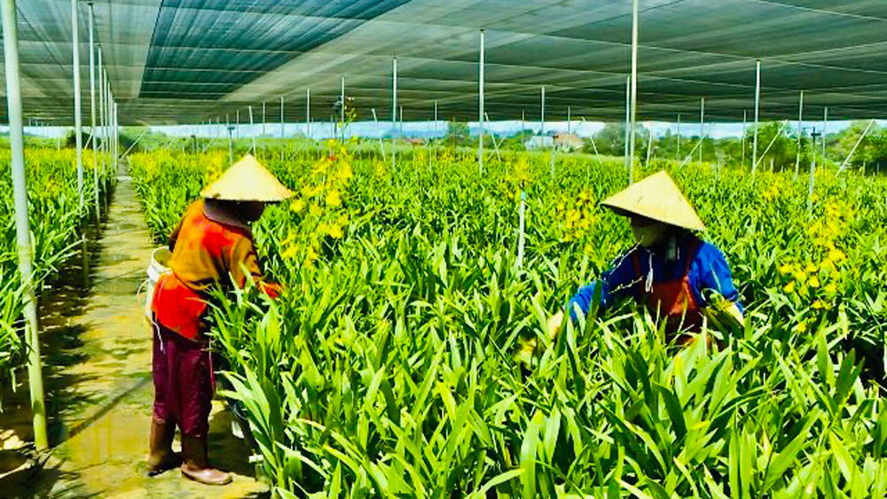 Hội Nông dân Đức Trọng tiên phong trong cách làm mới 