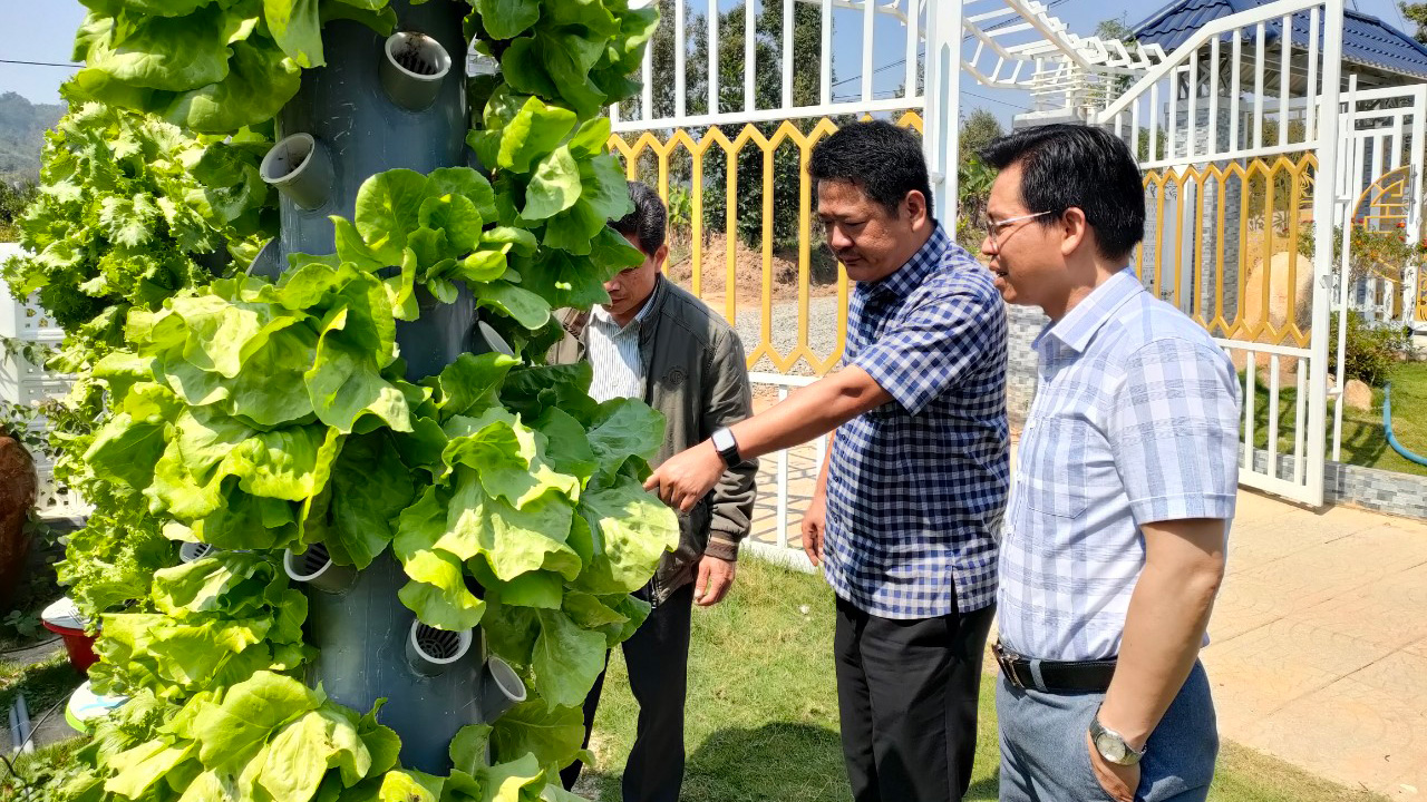 Trợ sức cho hội viên nông dân phát triển kinh tế