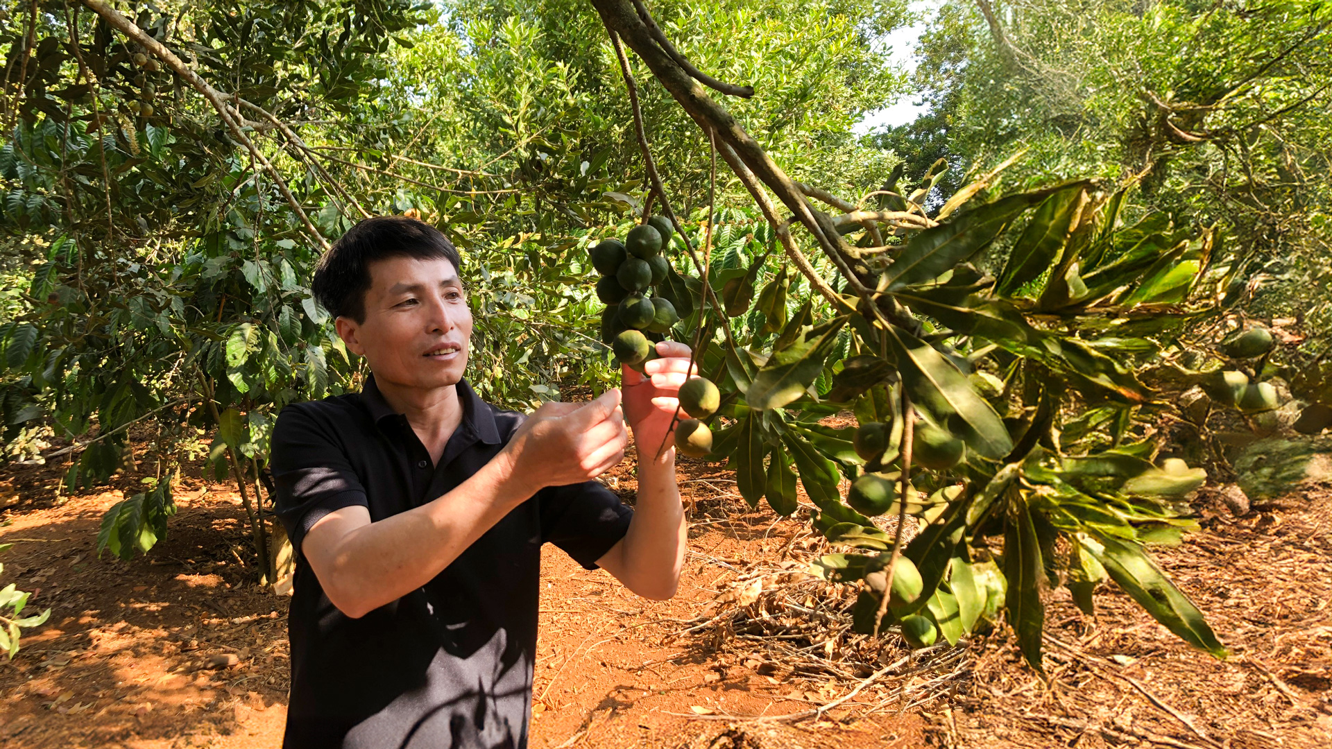 Liên kết nông dân cho sản phẩm OCOP 5 sao