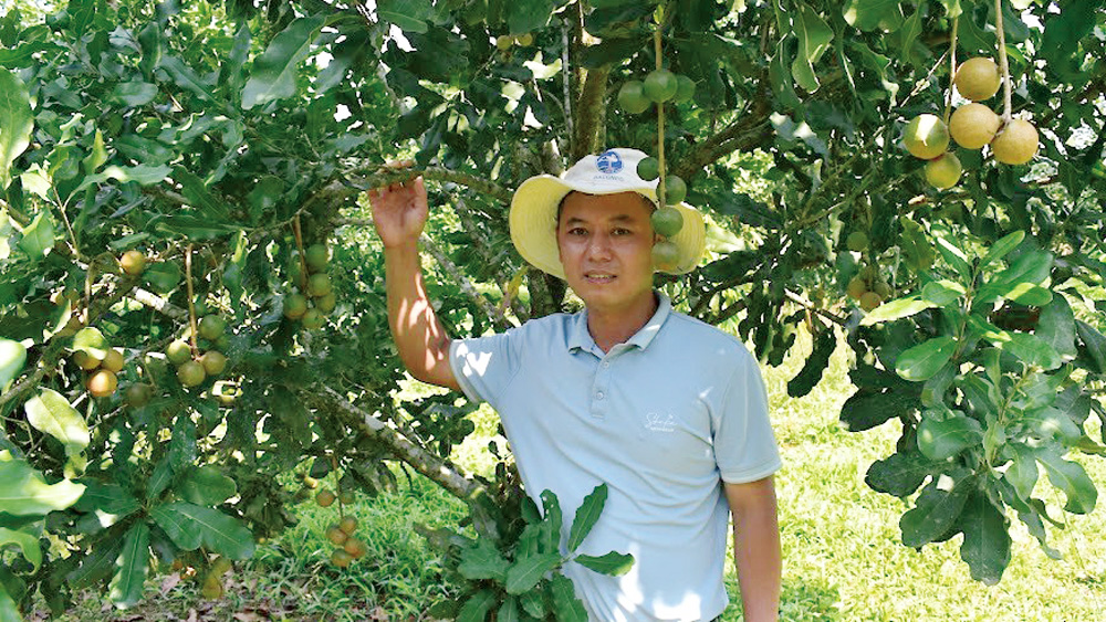 Để thực hành sản xuất chuyên nghiệp hơn