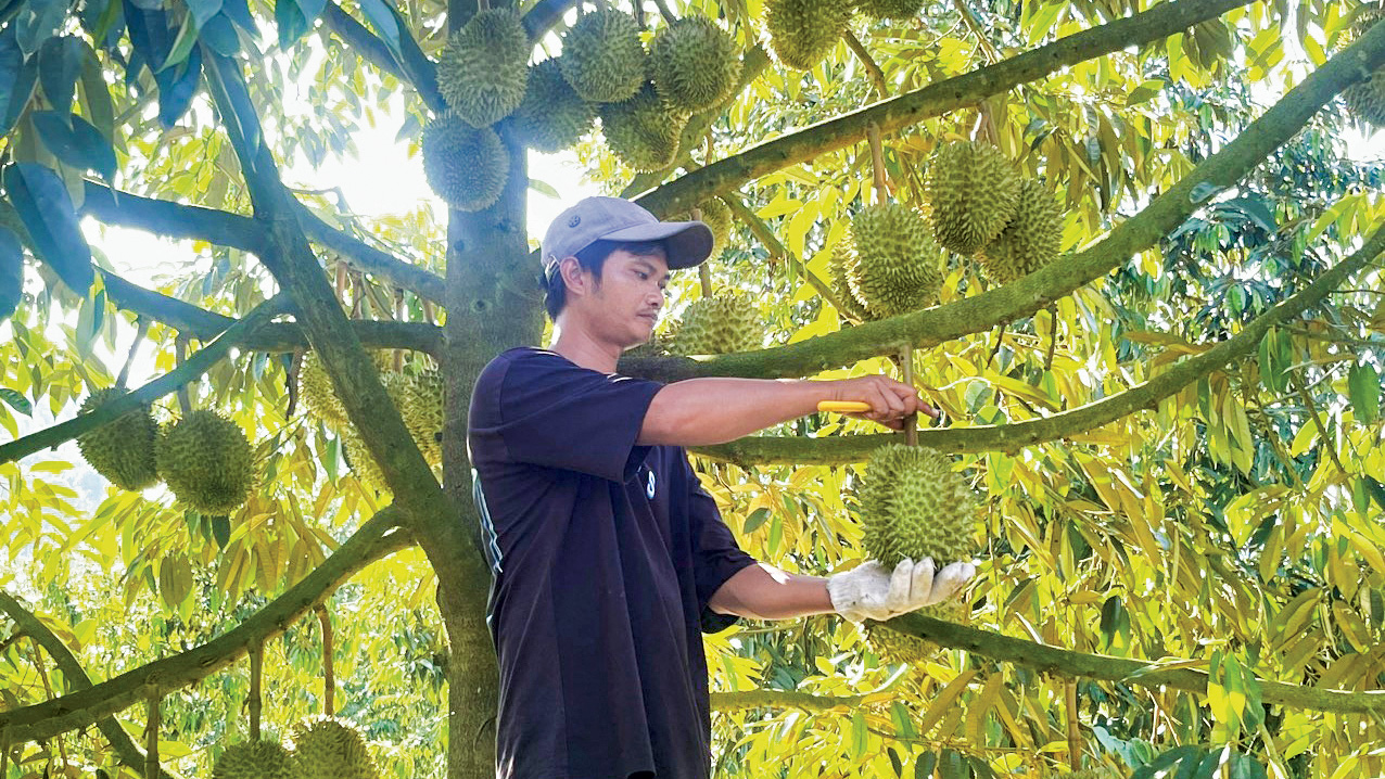 Đổi thay ở xã anh hùng Lộc Nam