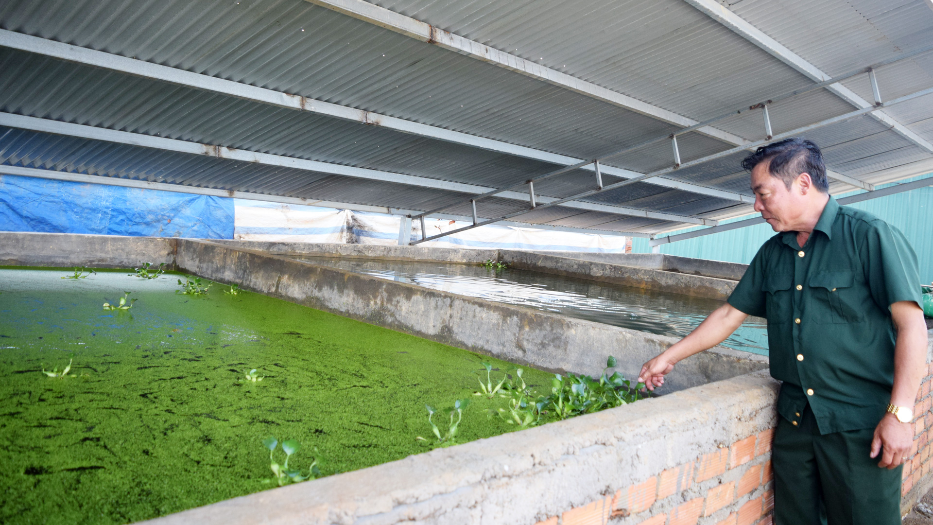 Cựu chiến binh làm kinh tế giỏi, hết lòng vì cộng đồng