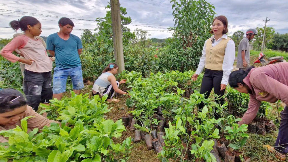 Bài dự thi Giải Báo chí về xây dựng Đảng: Những Bí thư Chi bộ hết lòng vì buôn làng