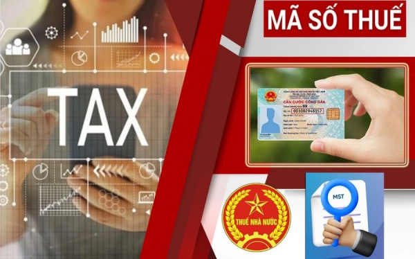 Mã số thuế là gì? Mã số doanh nghiệp và số đăng ký kinh doanh có phải cùng một MST?