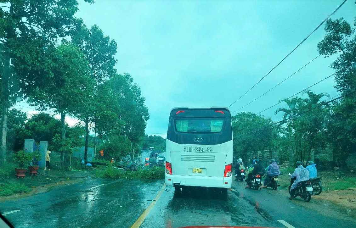 Đạ Huoai: Cây xanh và trụ điện ngã đổ chắn ngang Quốc lộ 20