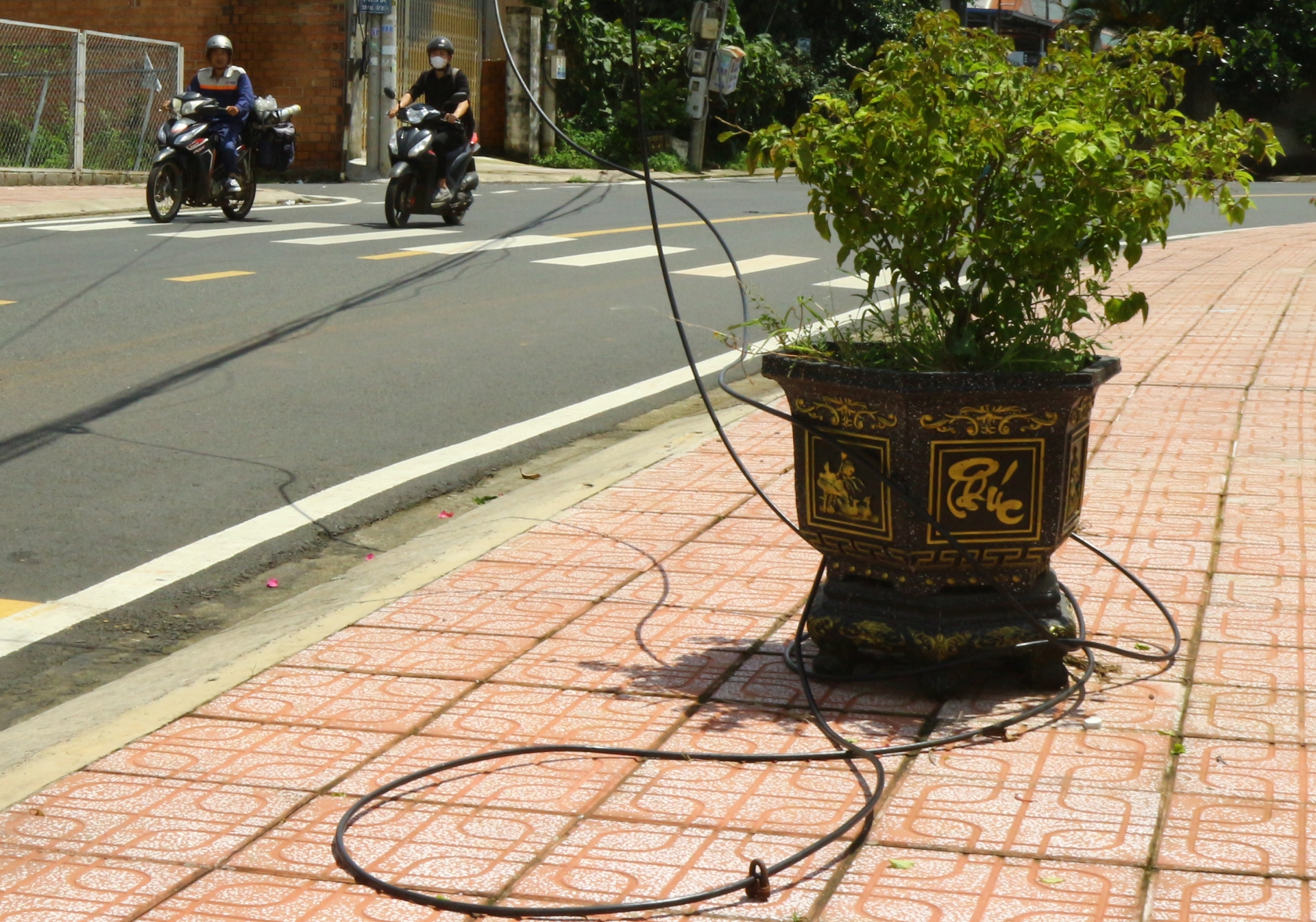 Người dân choàng dây cáp vào chậu hoa để đảm bảo an toàn