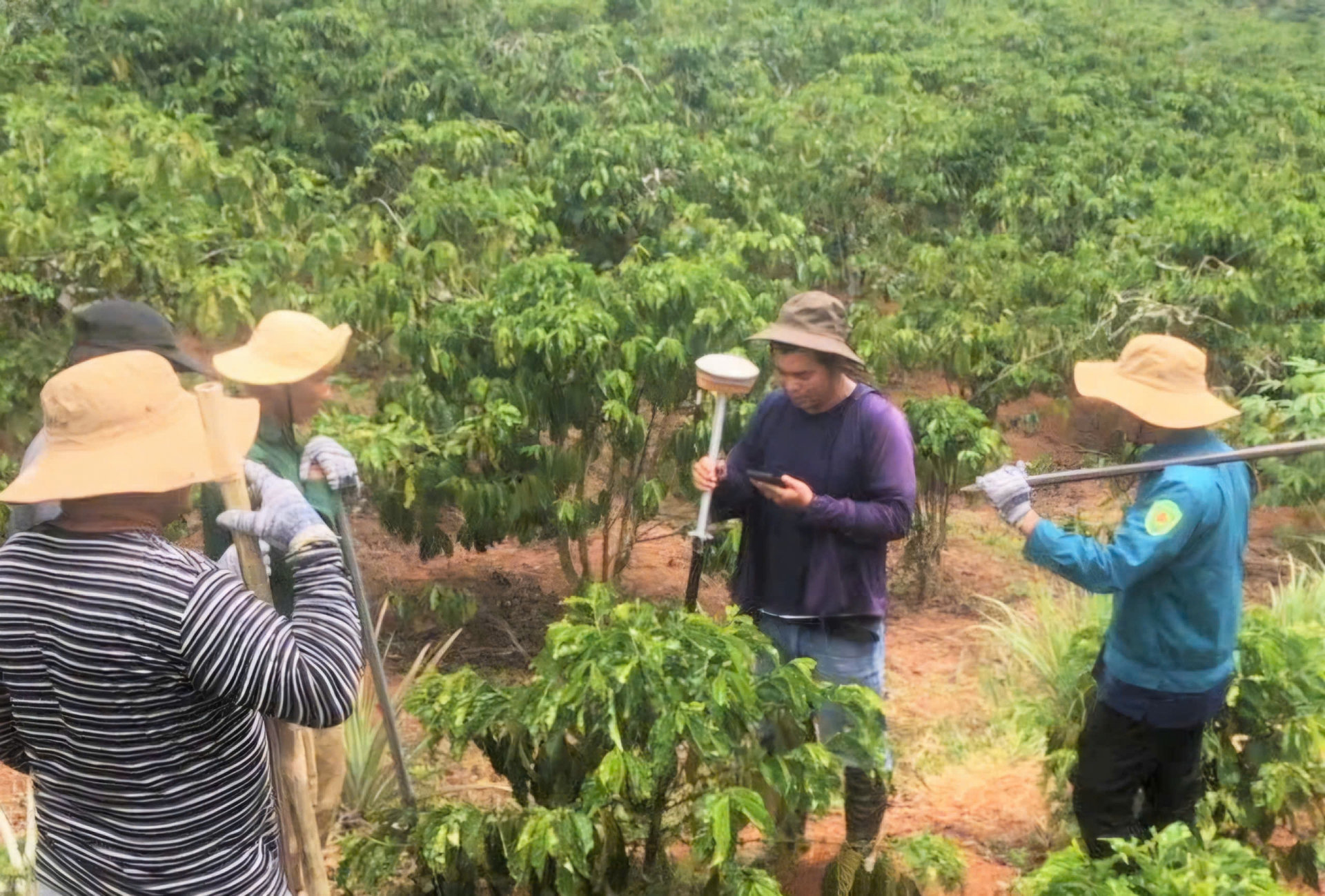 Hai xã Lộc An và Lộc Đức có diện tích là 53,79 ha, với 176 hộ thuộc diện thu hồi phục vụ Dự án cao tốc Bảo Lộc - Liên Khương