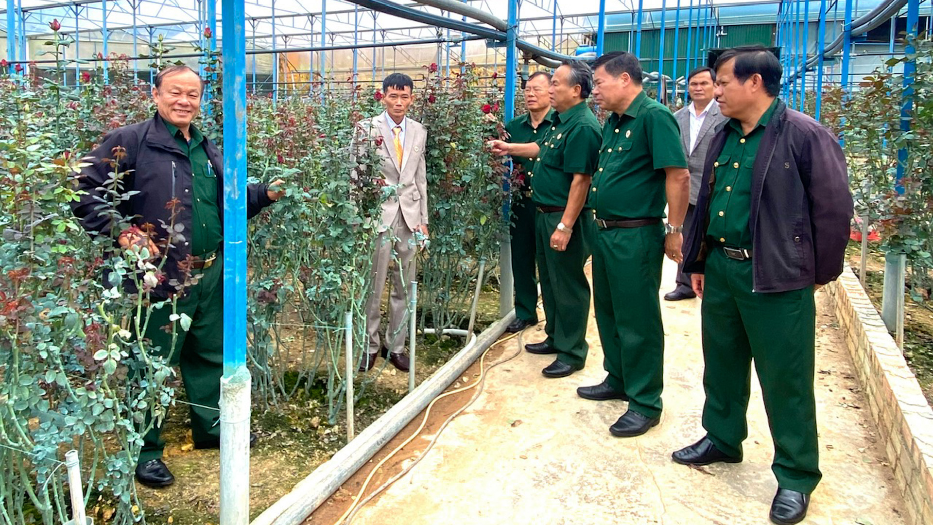 Vườn hồng nở hoa từ ý chí bộ đội Cụ Hồ