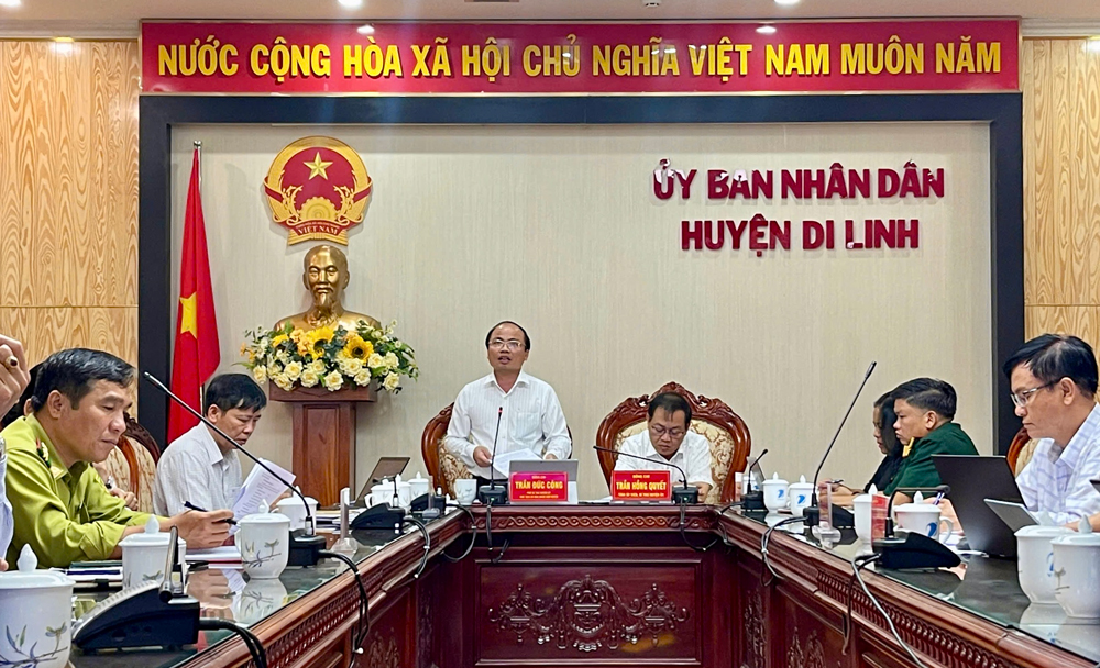 Lãnh đạo các địa phương báo cáo qua cầu truyền hình