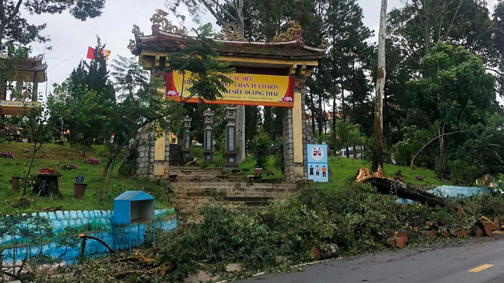 Mưa gió làm ngã đổ cây xanh hôm 12/6