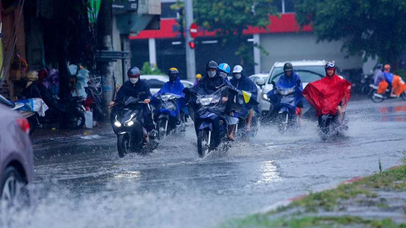 Thời tiết ngày 24/6: Tây Bắc và Tây Nguyên, Nam Bộ tiếp tục có mưa rào