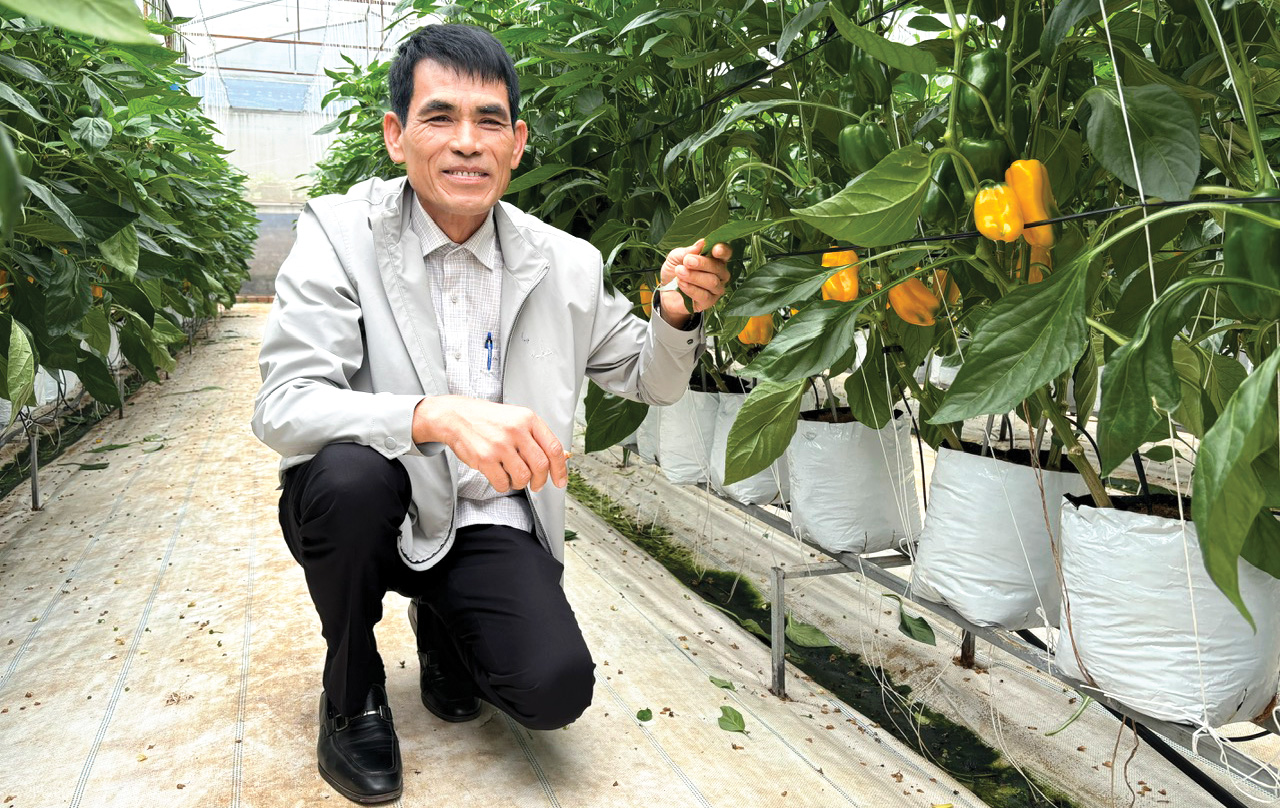 Đưa nông sản vượt đại dương