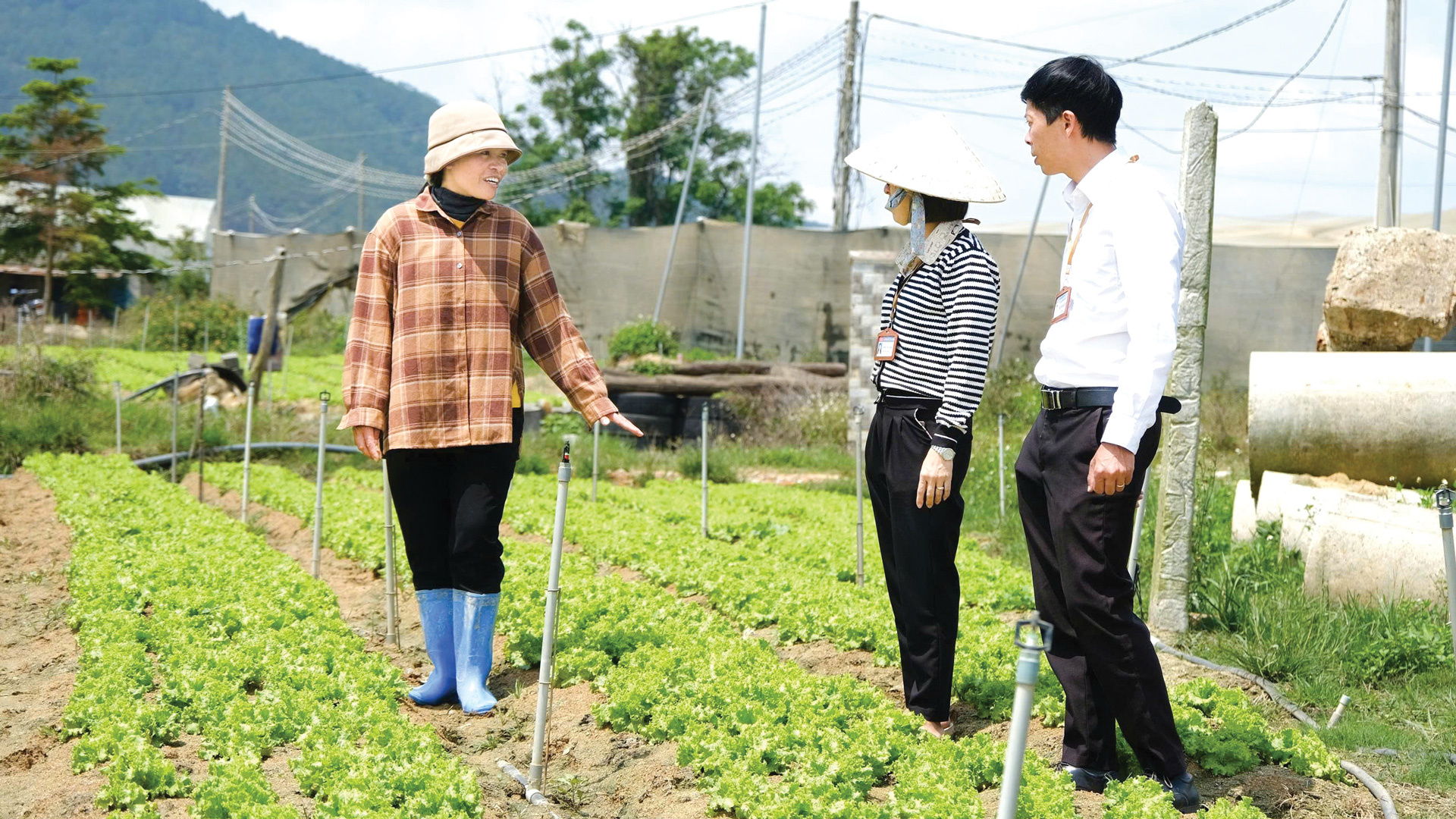 TÁC PHẨM DỰ THI GIẢI BÚA LIỀM VÀNG: “Đúng quyết làm, sai phải tránh” vì lợi ích chung (Bài 1)