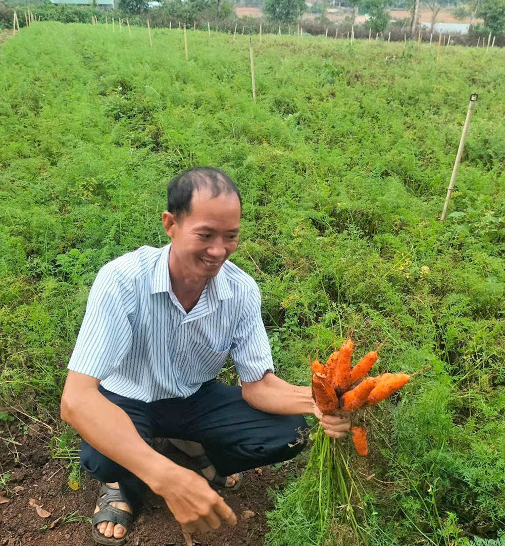 Sản xuất rau, củ, quả hữu cơ tại HTX Nông nghiệp hữu cơ Huy Ngọc VN theo mô hình chuỗi liên kết, lợi nhuận tăng thêm khoảng 30%