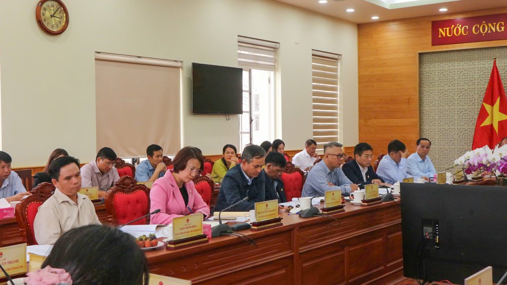 Các đại biểu tham dự buổi làm việc