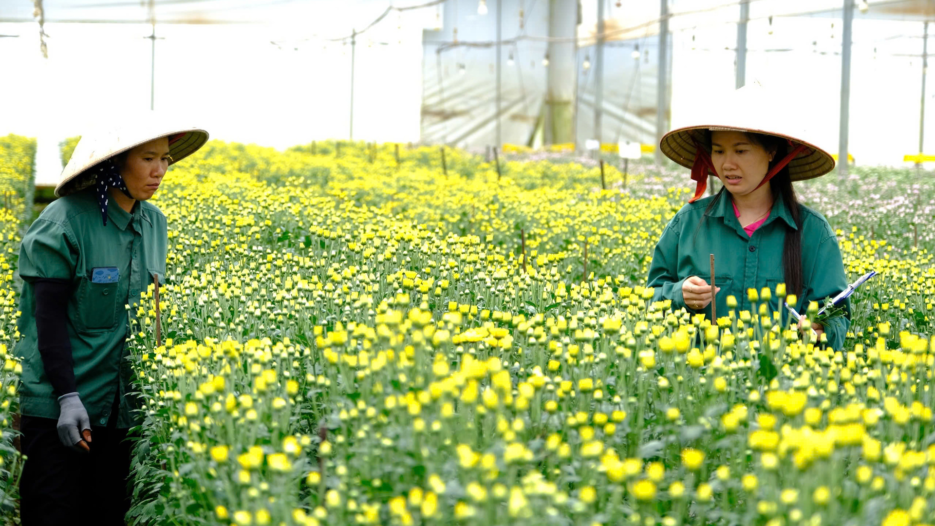 Lâm Hà: Công tác an toàn vệ sinh lao động đạt nhiều kết quả