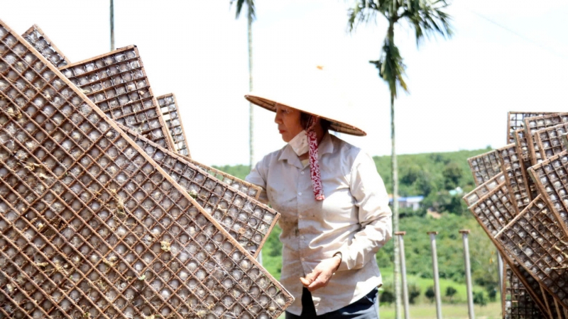 Thực hiện hiệu quả các chương trình, dự án giảm nghèo