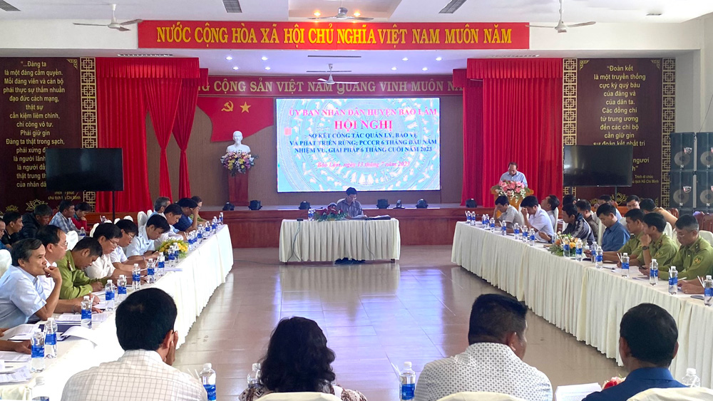 Bảo Lâm: Tập trung rà soát, xử lý điểm nóng vi phạm Luật Lâm nghiệp