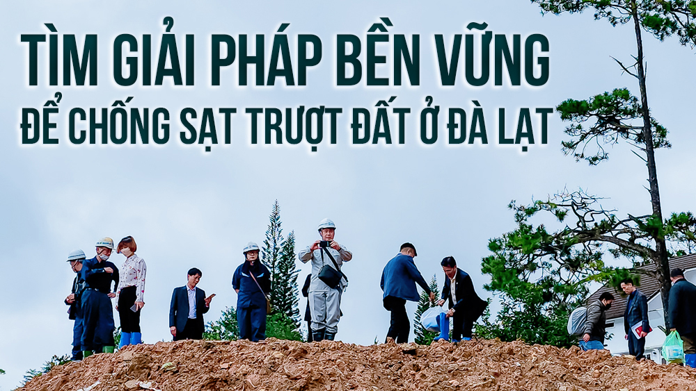 Bài 2: Triển khai song song các giải pháp trước mắt và lâu dài
