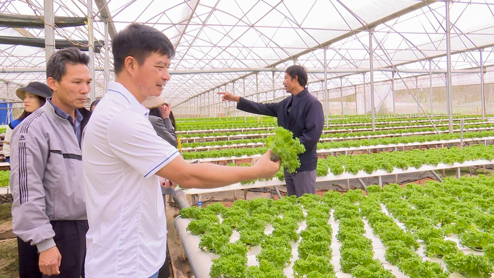 Cụm thi đua số 2 phấn đấu đạt và vượt mức nhiệm vụ chính trị năm 2023