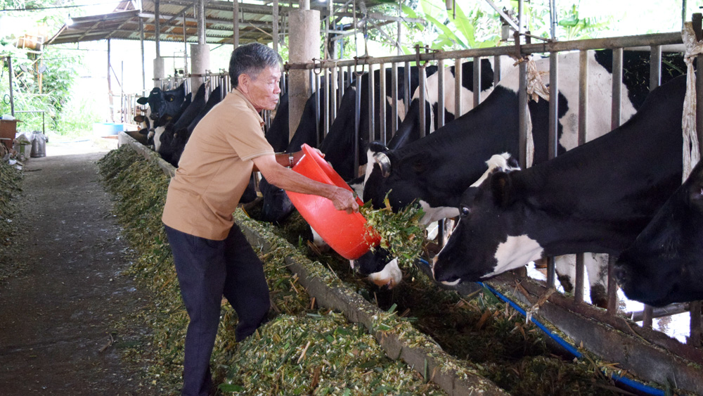 Gương sáng cựu chiến binh