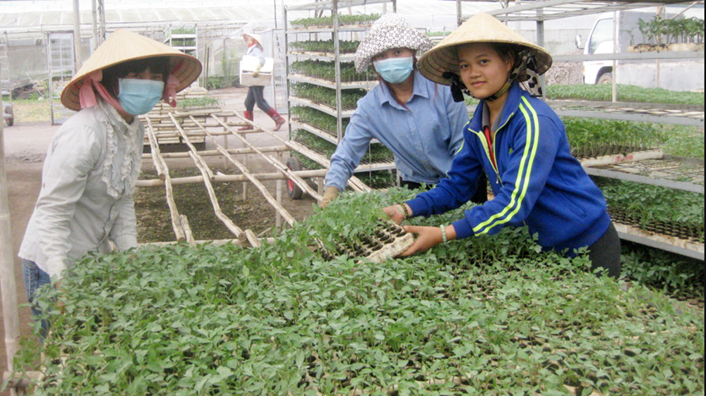 Đơn Dương “nâng tầm” huyện nông thôn mới