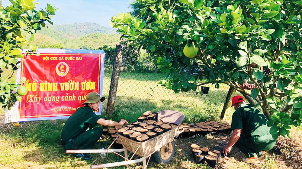 Hội Cựu chiến binh Đạ Tẻh sau 20 năm thực hiện Nghị quyết 09