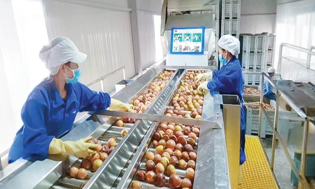 Công đoàn cơ sở Công ty Trường Hoàng Lâm Đồng:: Doanh nghiệp - người lao động là mối quan hệ không thể tách rời
