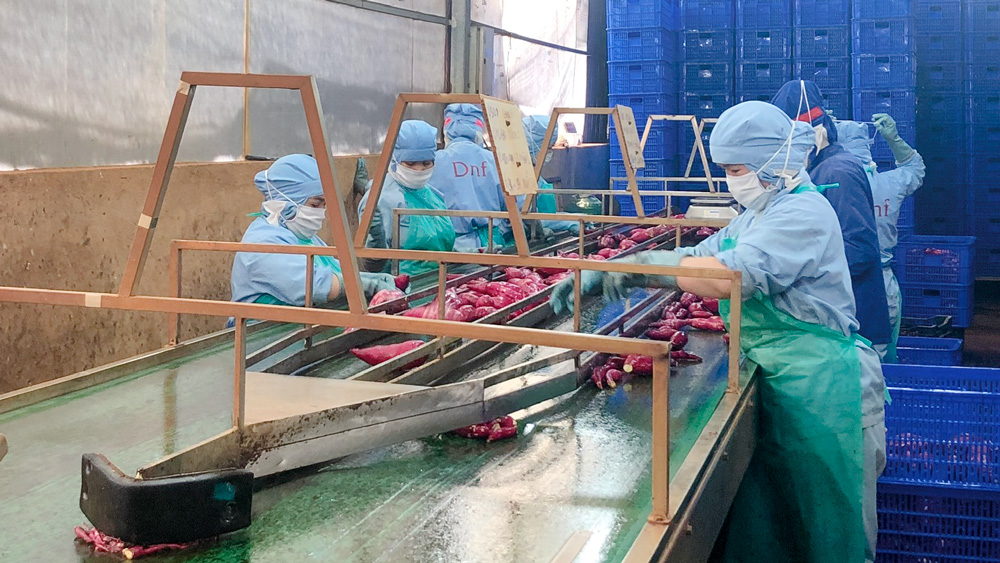 Chia sẻ lợi nhuận với người lao động là mục tiêu