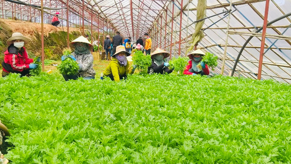 Mê Linh tích cực tuyên truyền, giúp đỡ hộ nghèo đồng bào dân tộc thiểu số