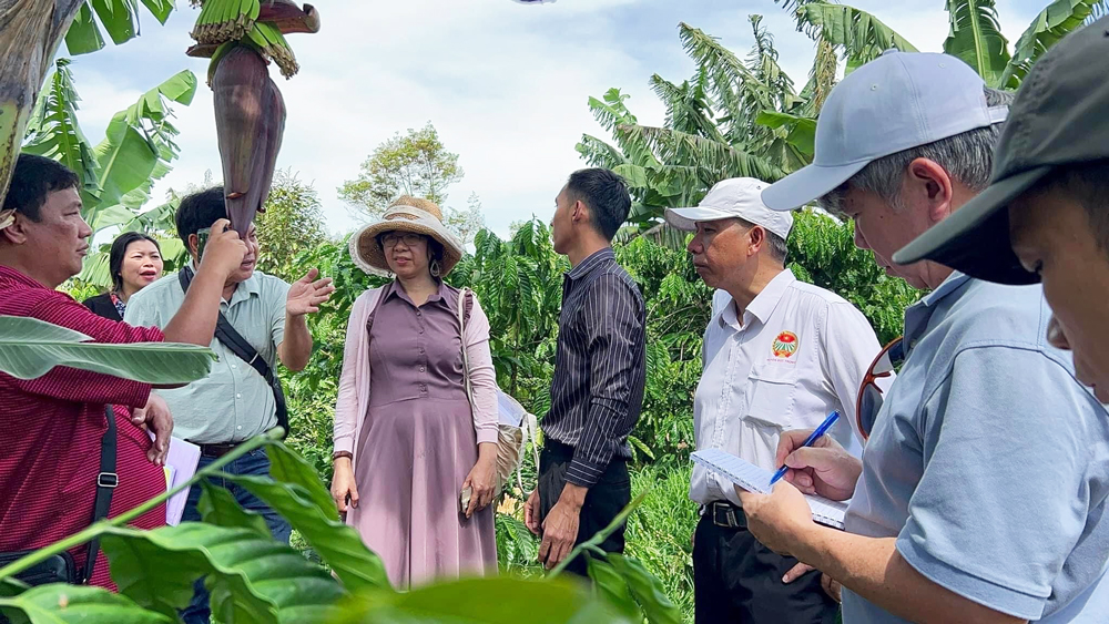 Chuyên gia xử lý rác thải làm việc tại Lâm Đồng